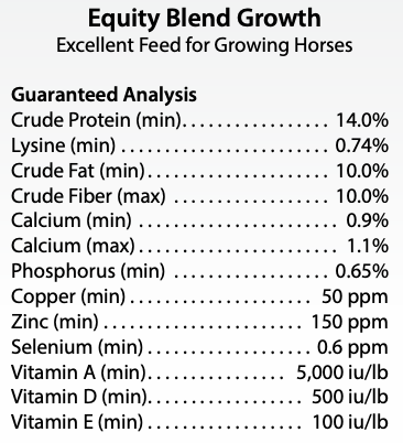 Equity Blend Growth