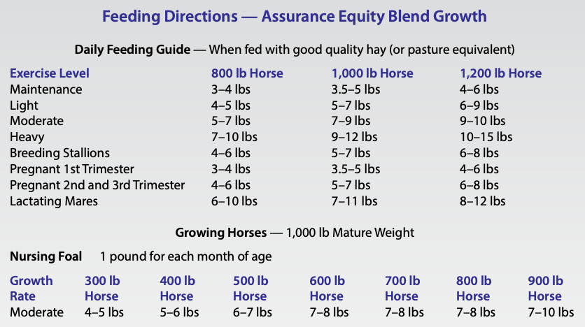 Equity Blend Growth