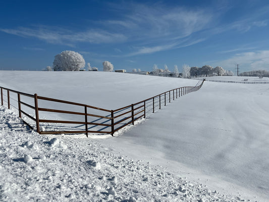 Pipe Fencing